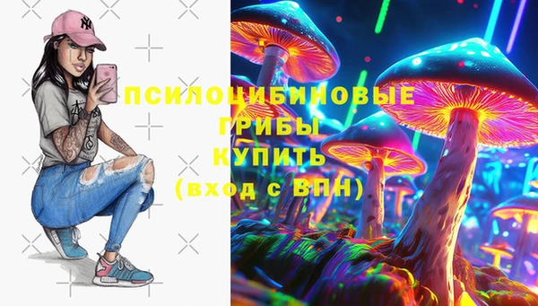круглые Белокуриха